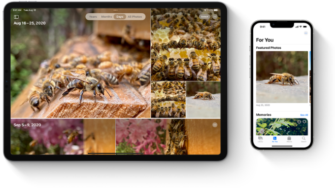 Save your My Photo Stream images before Apple shuts it down