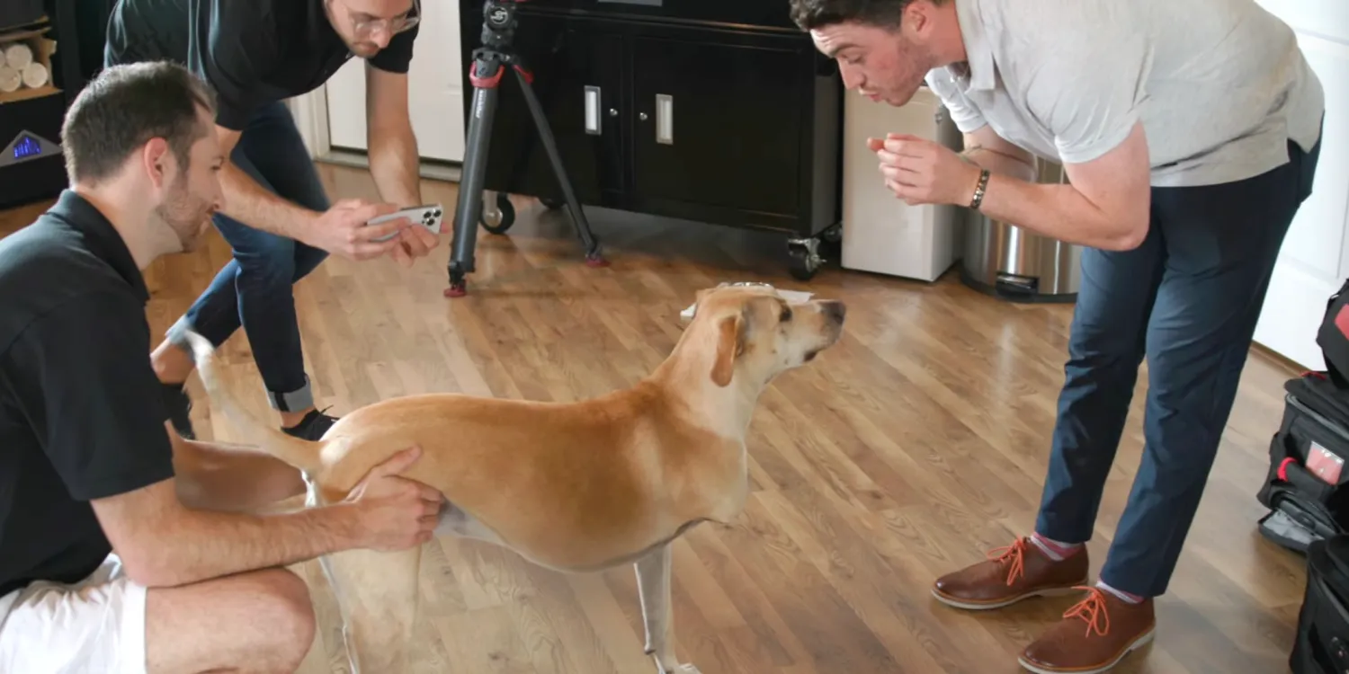 Apple and MKBHD showcase company using iPhone LiDAR to help create pet prosthetics