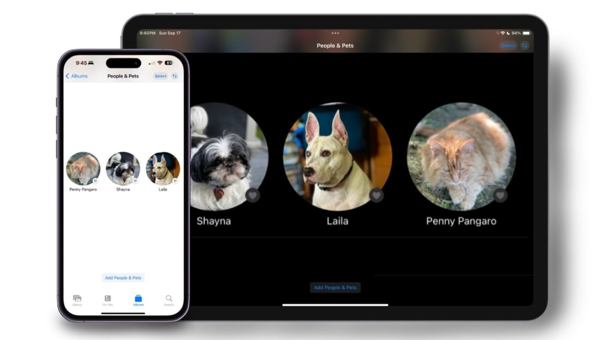 In iOS 17, tag pets in Photos by opening the photo